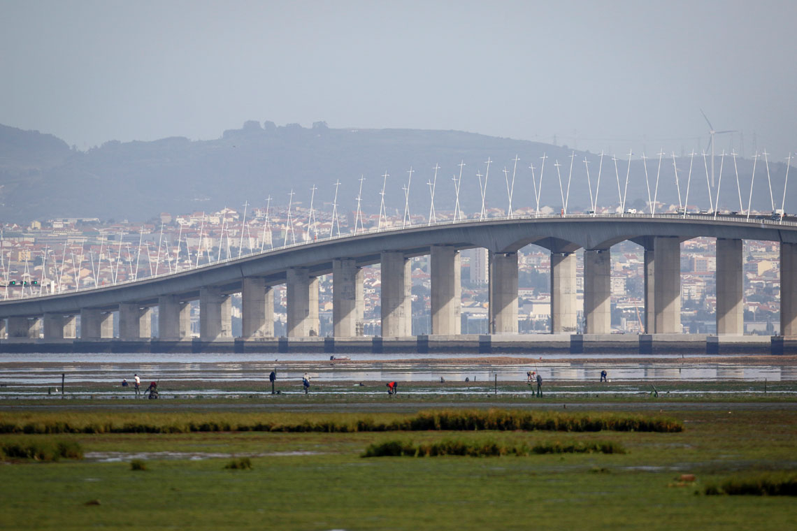 bacia Tejo rio 